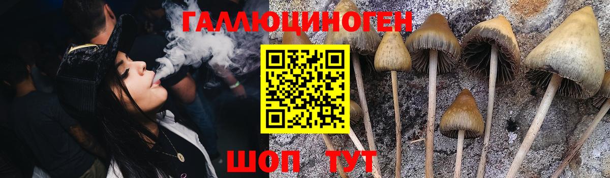 Галлюциногенные грибы мицелий Углич